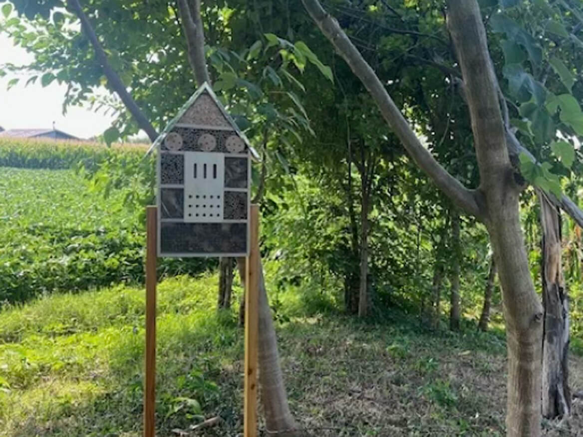 Casetta per insetti (bug hotel) nel bosco