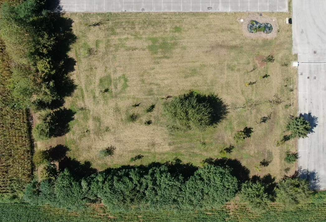 Dopo — l'area trasformata in bosco e verde